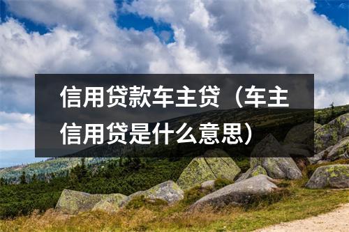 信用贷款车主贷（车主信用贷是什么意思）