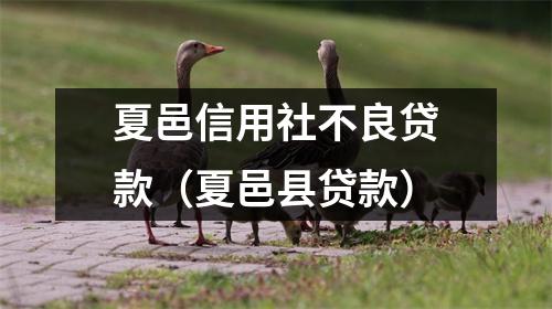 夏邑信用社不良贷款（夏邑县贷款）