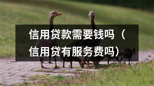 信用贷款需要钱吗（信用贷有服务费吗）
