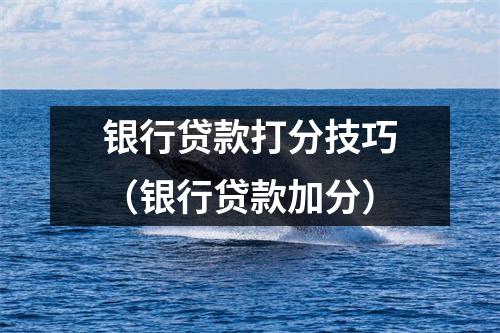 银行贷款打分技巧（银行贷款加分）