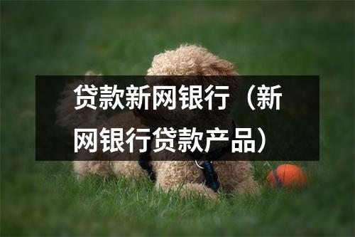 贷款新网银行（新网银行贷款产品）