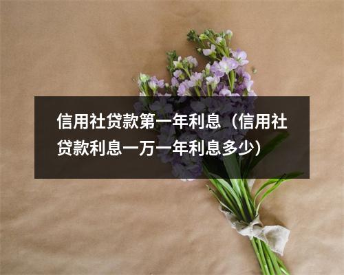信用社贷款第一年利息（信用社贷款利息一万一年利息多少）
