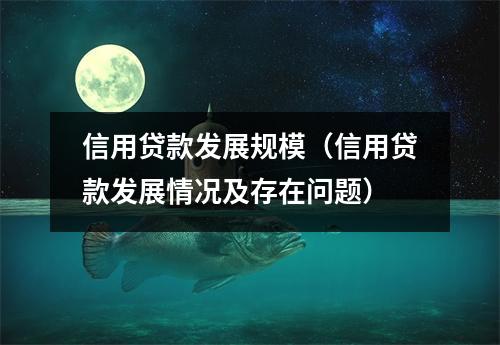 信用贷款发展规模（信用贷款发展情况及存在问题）