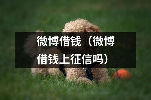 微博借钱(微博借钱上征信吗)