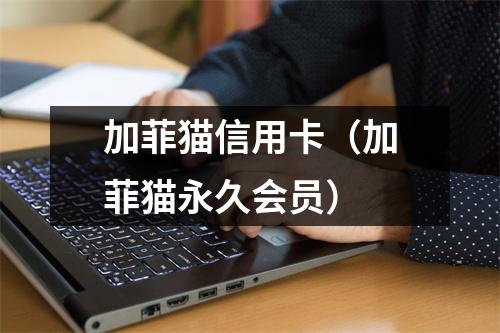 加菲猫信用卡（加菲猫永久会员）