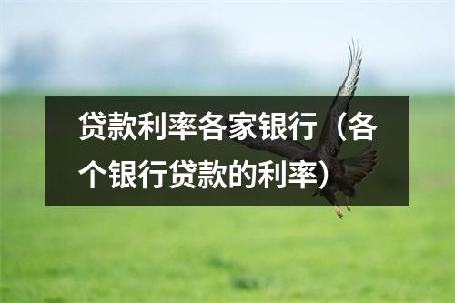 贷款利率各家银行(各个银行贷款的利率)