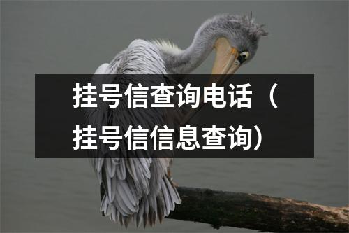 挂号信查询电话（挂号信信息查询）