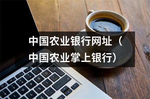 中国农业银行网址（中国农业掌上银行）