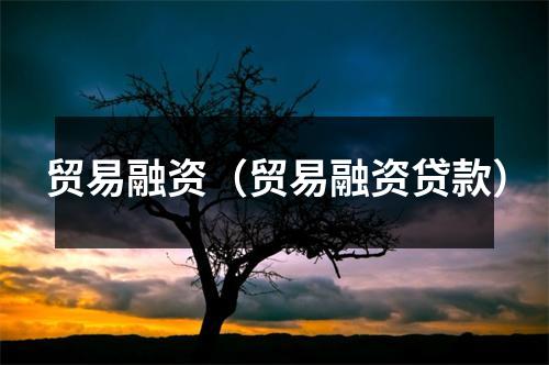 贸易融资（贸易融资贷款）