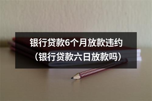 银行贷款6个月放款违约（银行贷款六日放款吗）