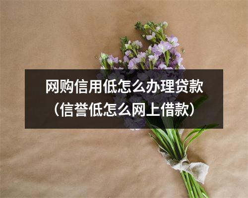 网购信用低怎么办理贷款（信誉低怎么网上借款）