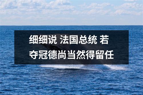 细细说 法国总统 若夺冠德尚当然得留任