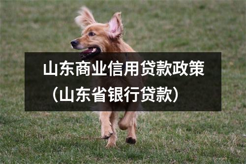 山东商业信用贷款政策（山东省银行贷款）