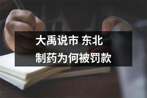 大禹说市 东北制药为何被罚款