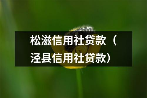 松滋信用社贷款（泾县信用社贷款）