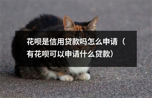 花呗是信用贷款吗怎么申请（有花呗可以申请什么贷款）