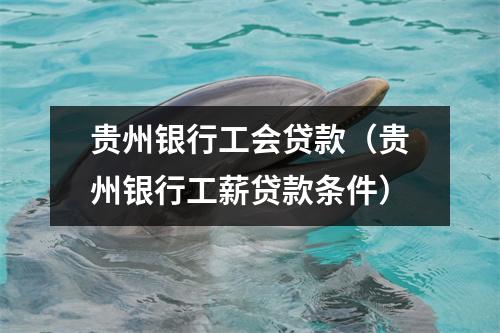 贵州银行工会贷款（贵州银行工薪贷款条件）