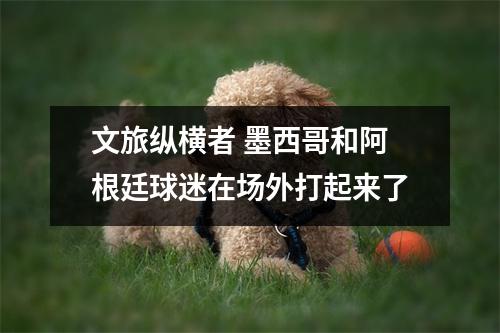 文旅纵横者 墨西哥和阿根廷球迷在场外打起来了