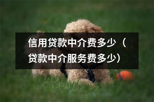 信用贷款中介费多少（贷款中介服务费多少）