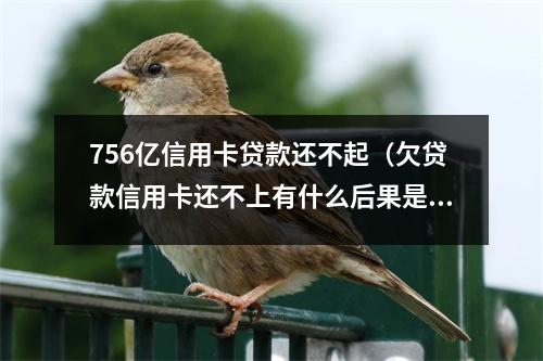 756亿信用卡贷款还不起（欠贷款信用卡还不上有什么后果是什么）