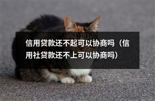 信用贷款还不起可以协商吗（信用社贷款还不上可以协商吗）