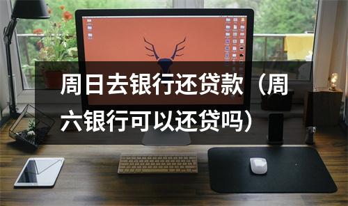 周日去银行还贷款（周六银行可以还贷吗）