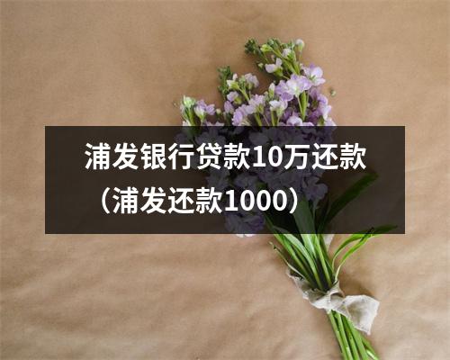 浦发银行贷款10万还款（浦发还款1000）