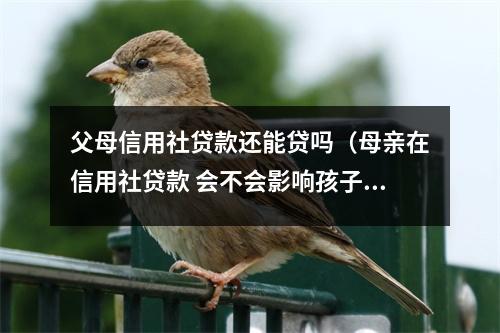父母信用社贷款还能贷吗（母亲在信用社贷款 会不会影响孩子贷款）