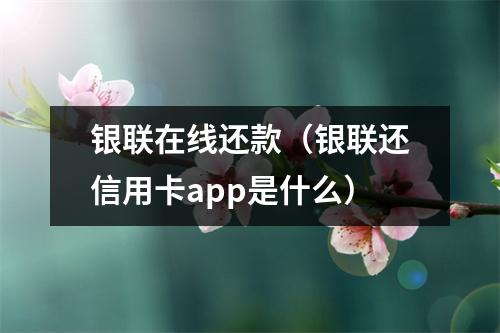 银联在线还款（银联还信用卡app是什么）
