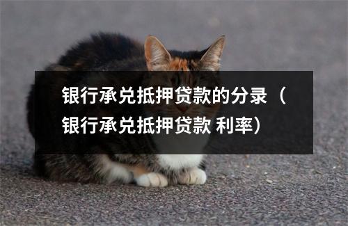 银行承兑抵押贷款的分录（银行承兑抵押贷款 利率）