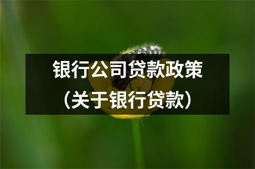 银行公司贷款政策（关于银行贷款）