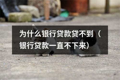 为什么银行贷款贷不到(银行贷款一直不下来)
