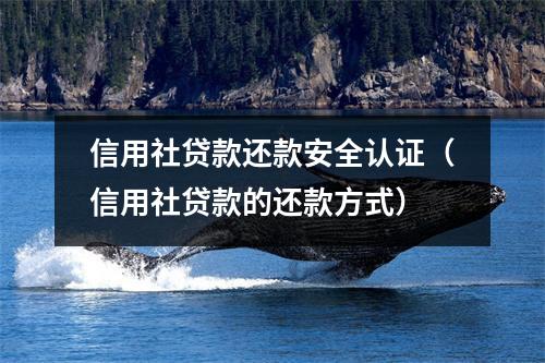 信用社贷款还款安全认证（信用社贷款的还款方式）