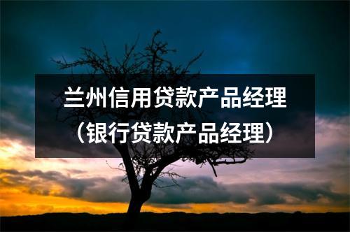 兰州信用贷款产品经理(银行贷款产品经理)