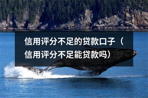信用评分不足的贷款口子（信用评分不足能贷款吗）