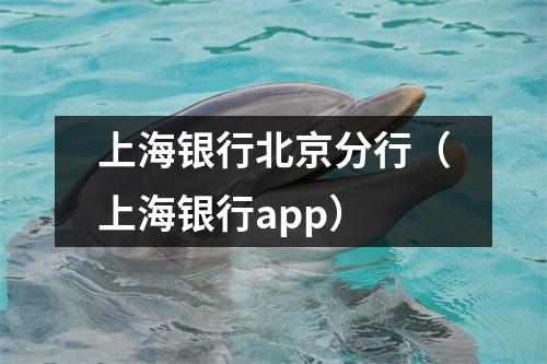 上海银行北京分行（上海银行app）