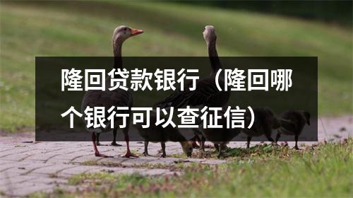 隆回贷款银行（隆回哪个银行可以查征信）