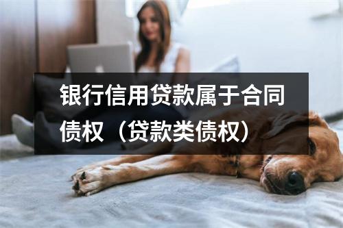 银行信用贷款属于合同债权（贷款类债权）