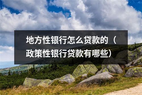 地方性银行怎么贷款的（政策性银行贷款有哪些）