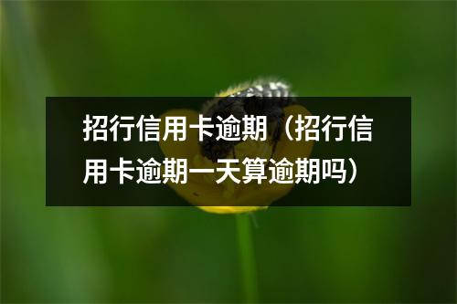 招行信用卡逾期（招行信用卡逾期一天算逾期吗）