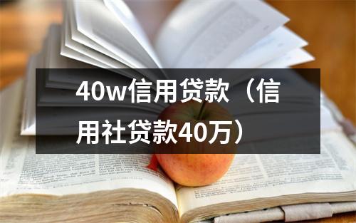 40w信用贷款（信用社贷款40万）