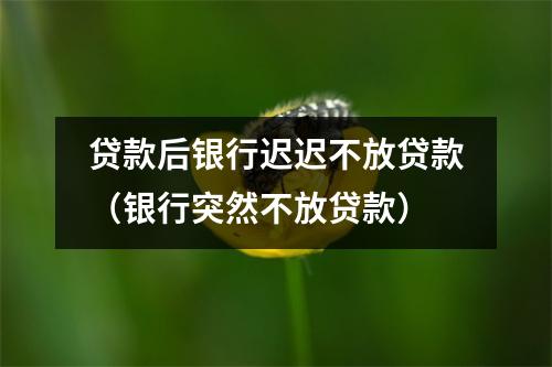 贷款后银行迟迟不放贷款（银行突然不放贷款）