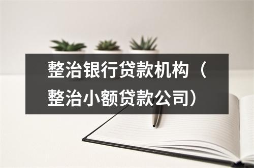 整治银行贷款机构（整治小额贷款公司）
