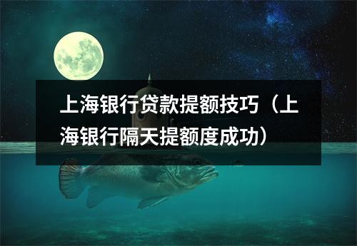 上海银行贷款提额技巧（上海银行隔天提额度成功）