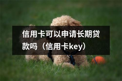 信用卡可以申请长期贷款吗（信用卡key）