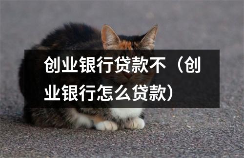 创业银行贷款不（创业银行怎么贷款）