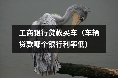 工商银行贷款买车（车辆贷款哪个银行利率低）