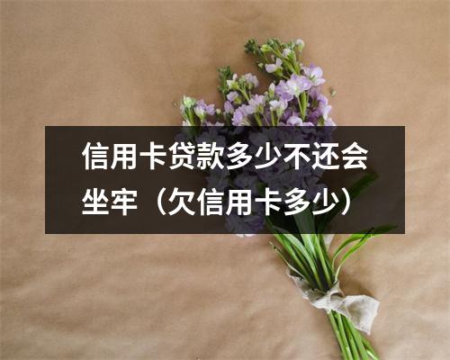信用卡贷款多少不还会坐牢（欠信用卡多少）