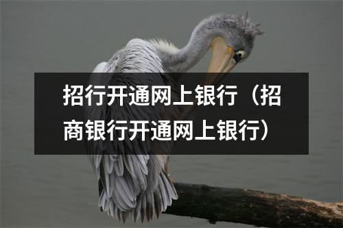 招行开通网上银行（招商银行开通网上银行）