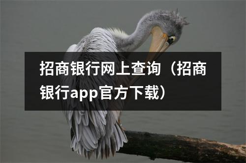 招商银行网上查询(招商银行app官方下载)